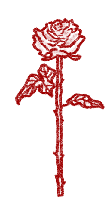 Illustration of a rose standing straight up cut at the stem
